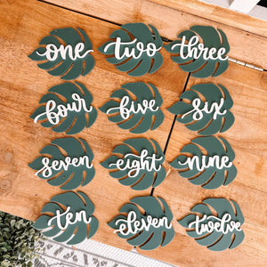 Acrylic Monstera Leaf Monthly Milestone Markers