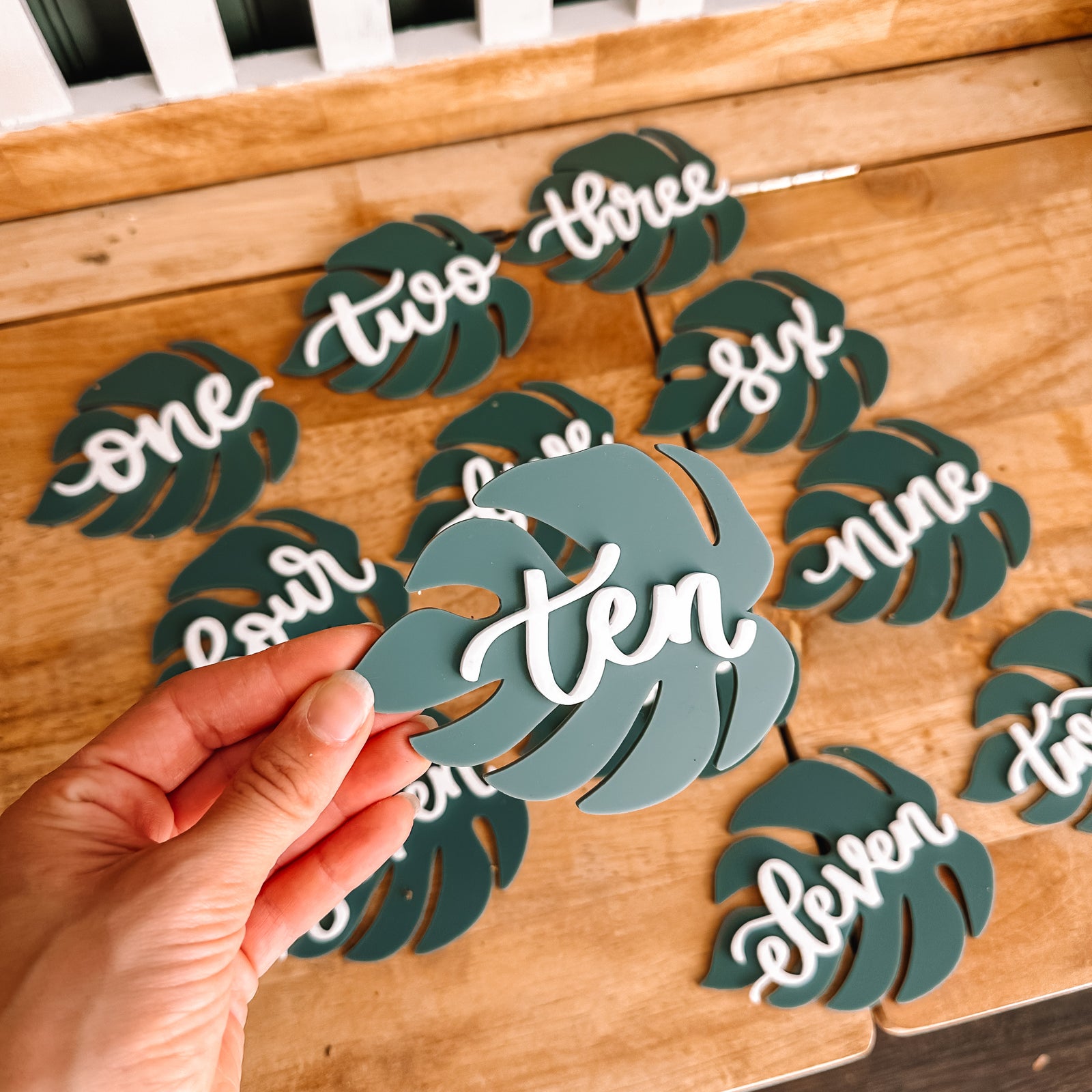 Acrylic Monstera Leaf Monthly Milestone Markers